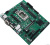 ASUS Pro H610M-C-CSM