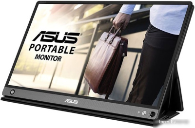 ASUS ZenScreen MB16AHP