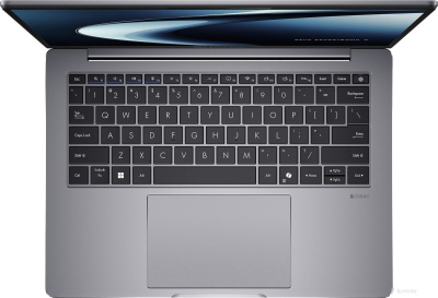 ASUS ExpertBook P3 PM3406CKA-LY0238 Win 11 Pro