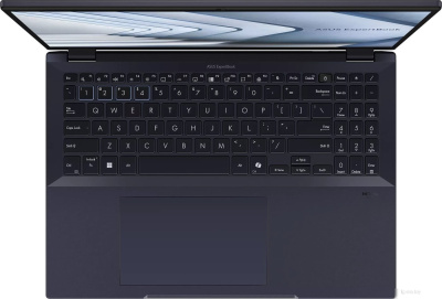 Ноутбук ASUS ExpertBook B5 B5605CVA-MB0300
