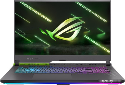 Игровой ноутбук ASUS ROG Strix G17 G713RM-LL134