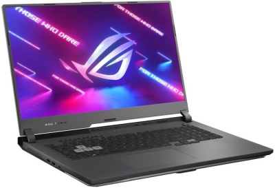 Игровой ноутбук ASUS ROG Strix G17 G713IM-HX005