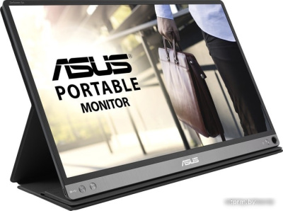 Монитор ASUS MB16AP