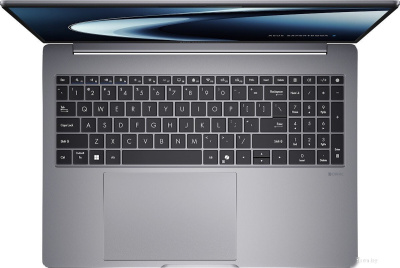 ASUS ExpertBook P3 PM3606CKA-PL0159 + 16 ГБ Win 11 Pro