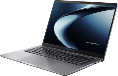 ASUS ExpertBook P3 PM3406CKA-LY0247 Win 11 Pro