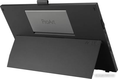 Портативный монитор ASUS ProArt PA169CDV