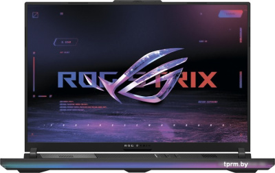 Игровой ноутбук ASUS ROG Strix SCAR 18 2023 G834JZ-N6021