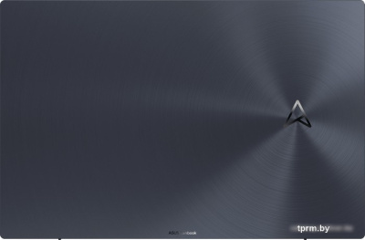 Ноутбук ASUS ZenBook Pro 17 UM6702RC-M2077W
