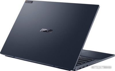 Ноутбук ASUS ExpertBook B5 B5302CBA-EG0244