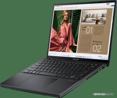 Рабочая станция ASUS Zenbook Pro 14 Duo UX8406MA-QL339W