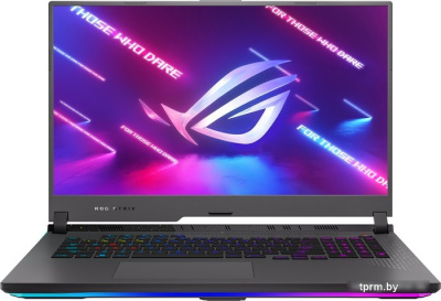 Игровой ноутбук ASUS ROG Strix G17 G713RM-LL134