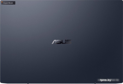 Ноутбук ASUS ExpertBook B5 B5302CBA-EG0133
