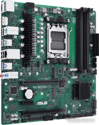 ASUS Pro B650M-CT-CSM