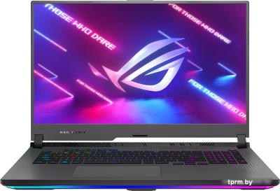 Игровой ноутбук ASUS ROG Strix G17 G713RM-KH099