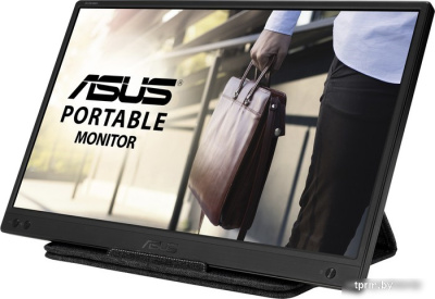 ASUS ZenScreen MB166B